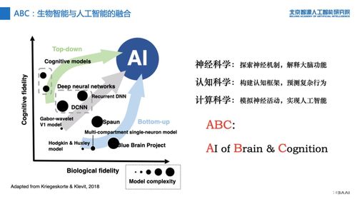 圖靈測試要出2.0版 智源研究院重磅發布人工智能的認知神經基礎與新型理論算法軟件